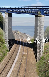 光大的信用卡 逾期了 光大的信用卡 逾期了